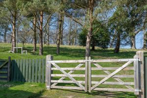 Photo 27- click for photo gallery